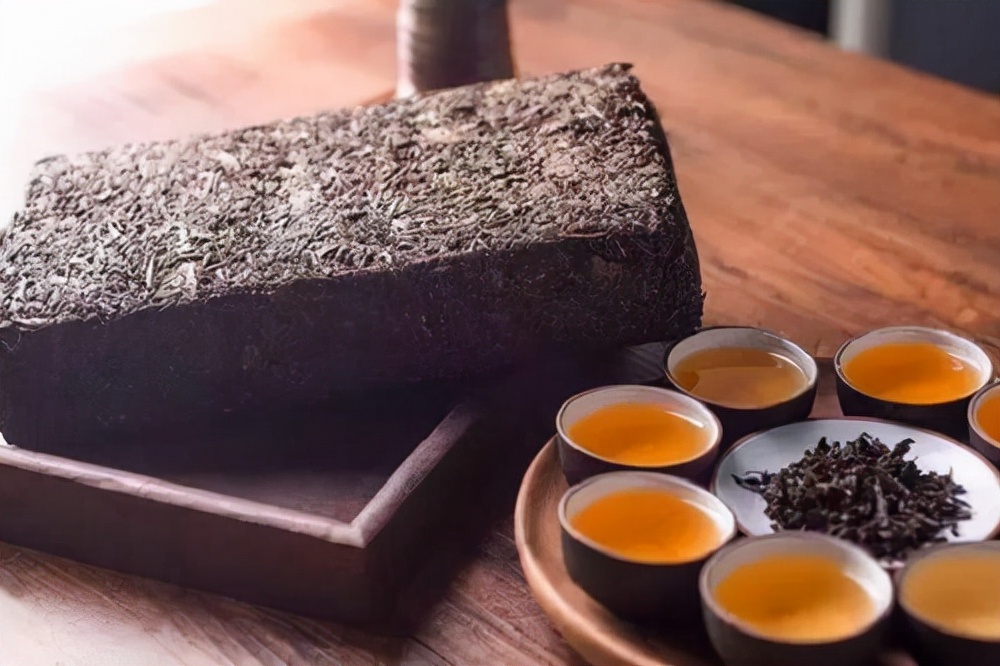 黑茶入門級講解來了，學完這篇就懂了