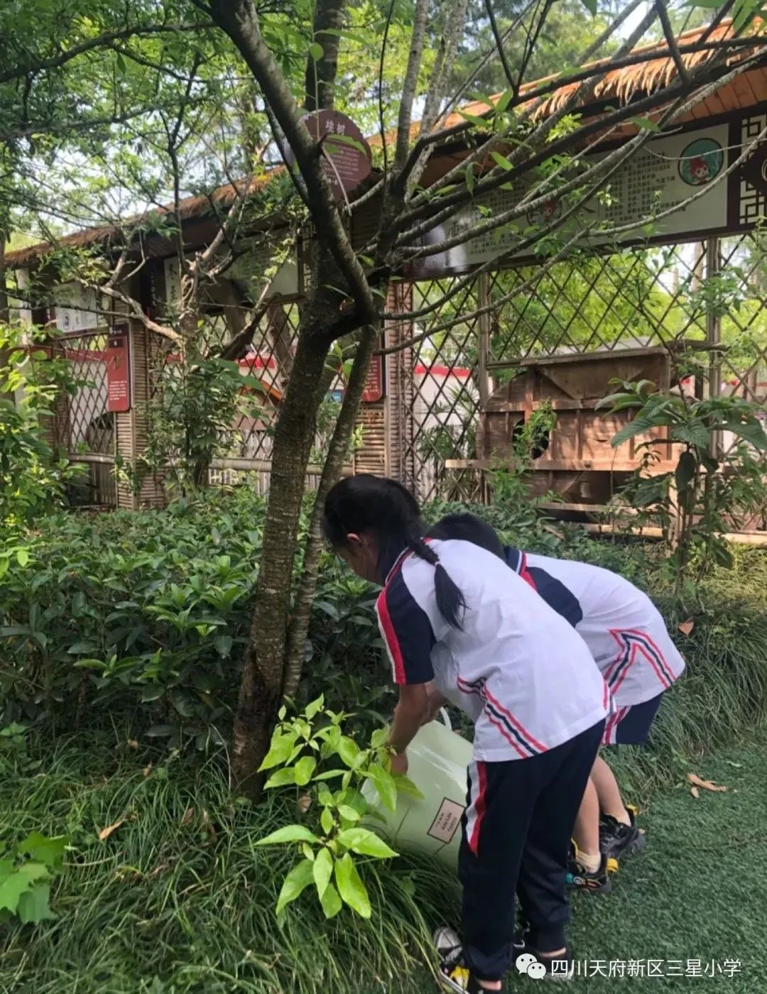致敬最可爱的人——四川天府新区三星小学开展劳动实践周系列活动