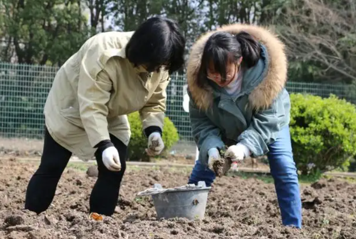 考研党们注意了，这些985大学不再提供宿舍，学生又多了一笔开支