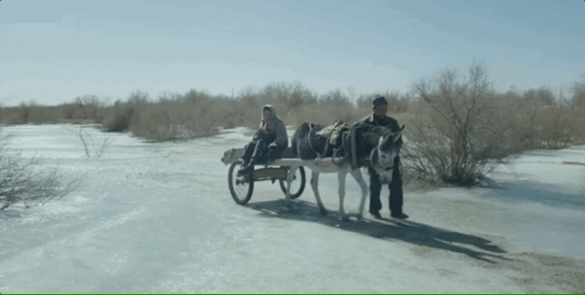 海清灰头土脸，“毁容式”出演，华语影片年度最高分