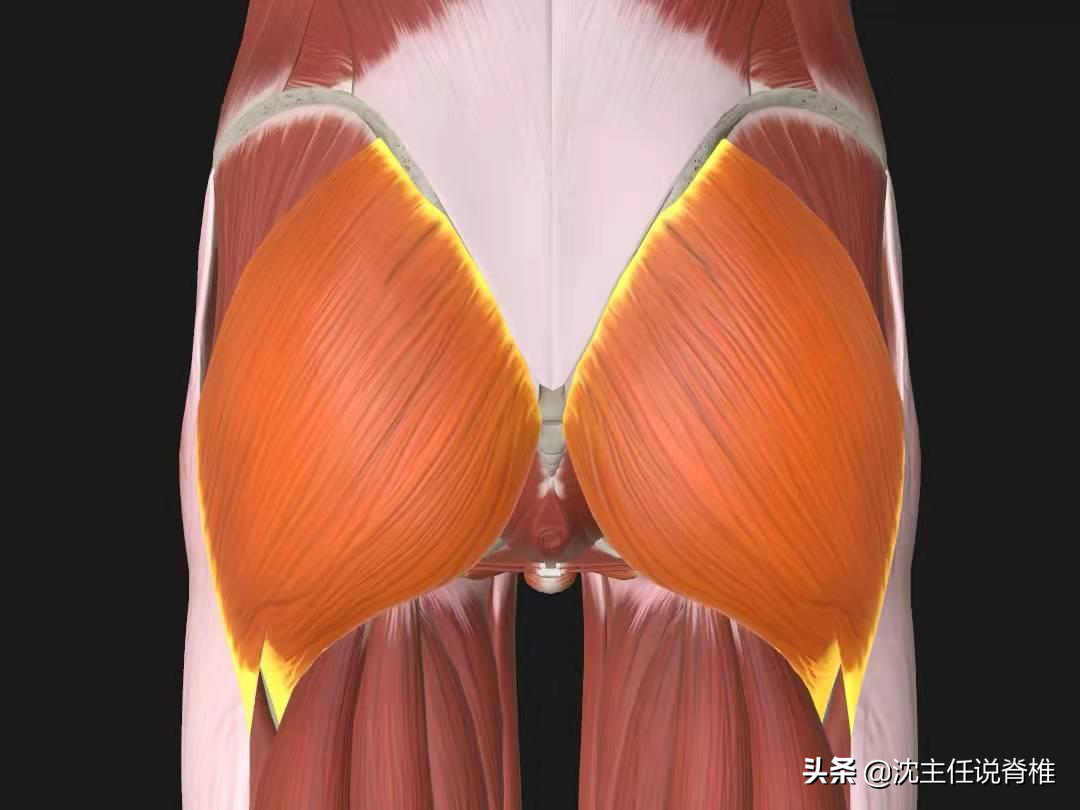 腰臀或下肢痛，是腰肌劳损、腰突症吗？不一定，还有这些原因