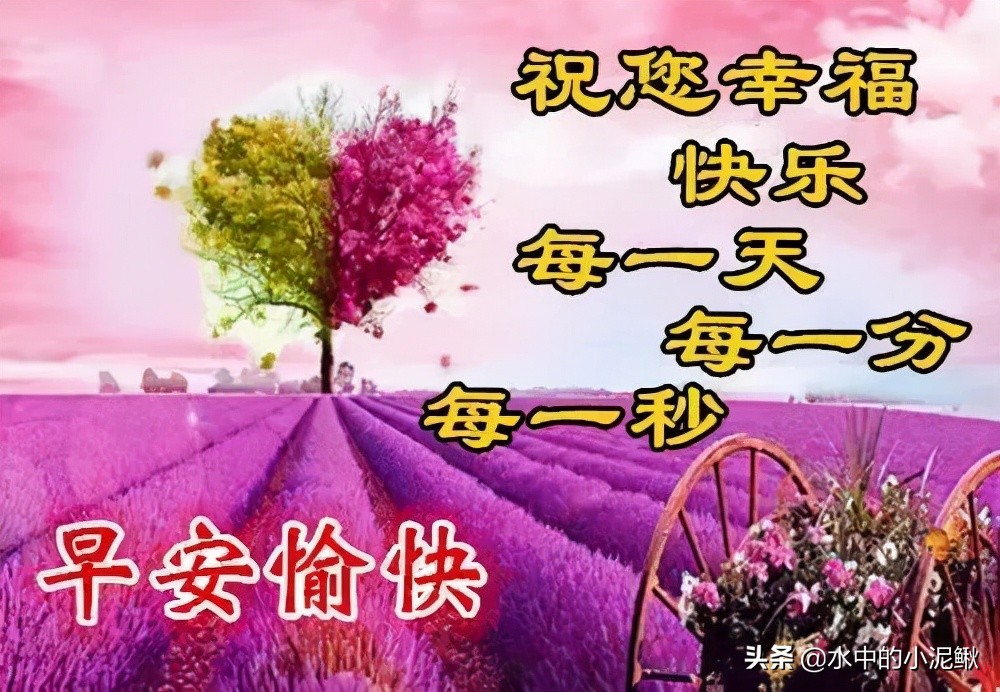 适合早上发朋友圈特别正能量的说说，清晨早安表情动态图