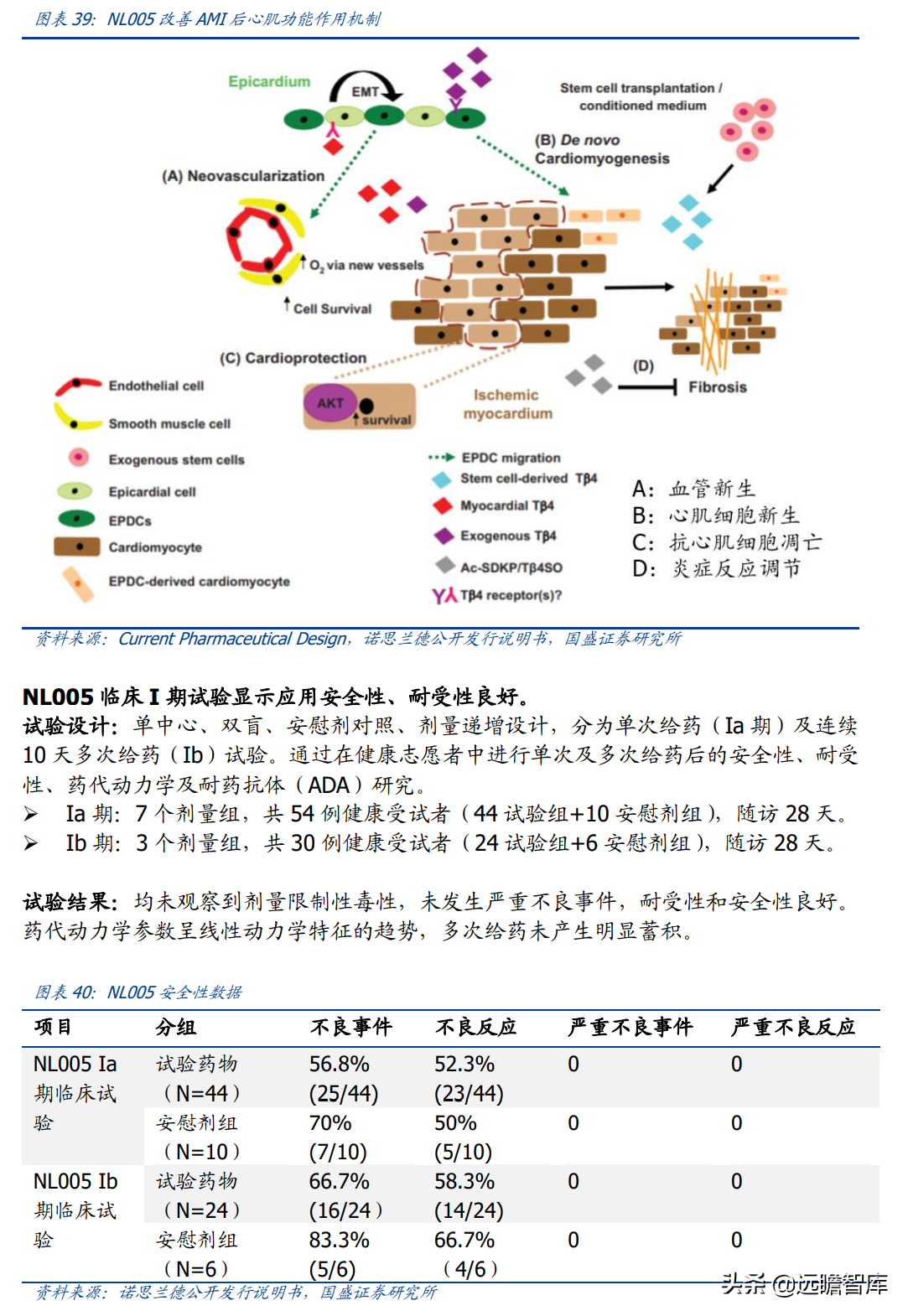 基因治疗大时代，诺思兰德：一马当先，50亿级别重磅单品价值低估