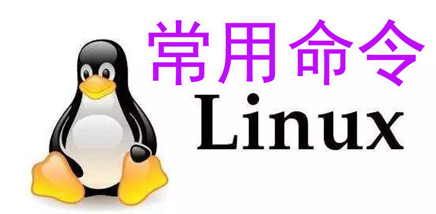Linux系统中如何修改文件的类型和格式