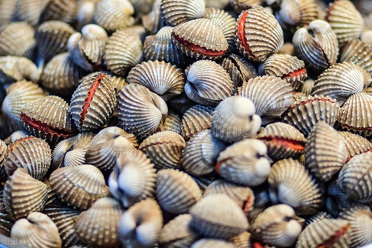 夏日夜市上常见的贝类小海鲜 如何区别?你吃过几种?