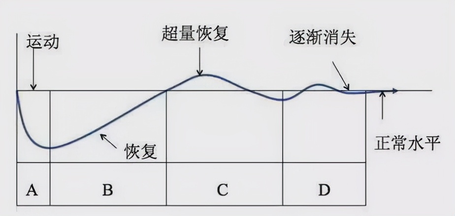 超量恢复