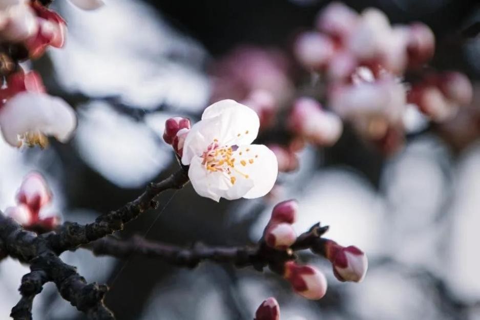 多图预警！兰大最美“校花”心动来袭，颜值超高，简直太惊艳！