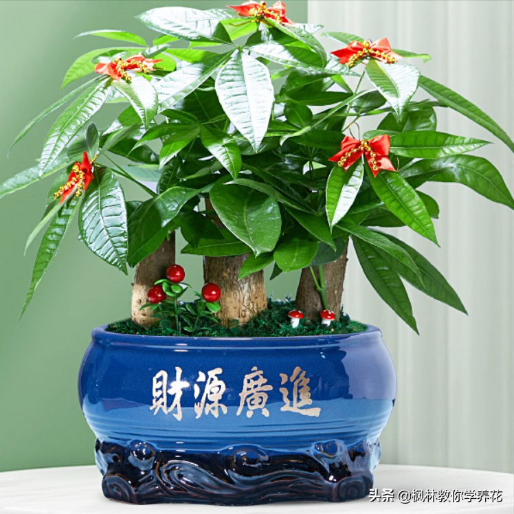 6种