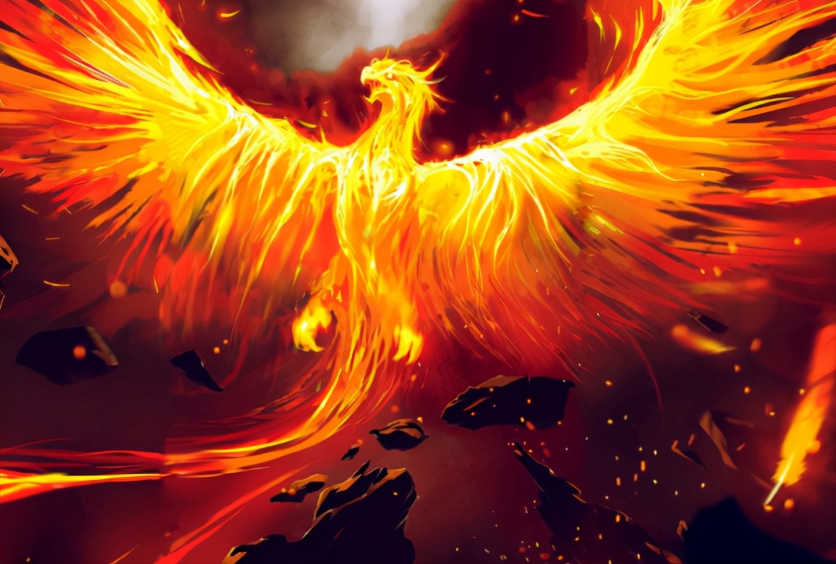 火鸟的故事寓意 _飞翔号