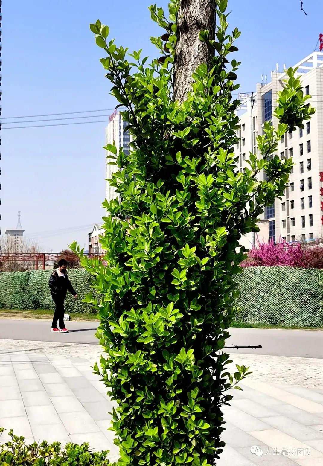 建筑业企业资质管理规定