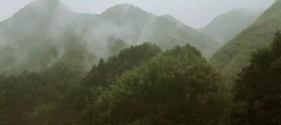 山居，生活本来的样子