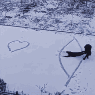 魔幻的币圈Q1！笑死我算了