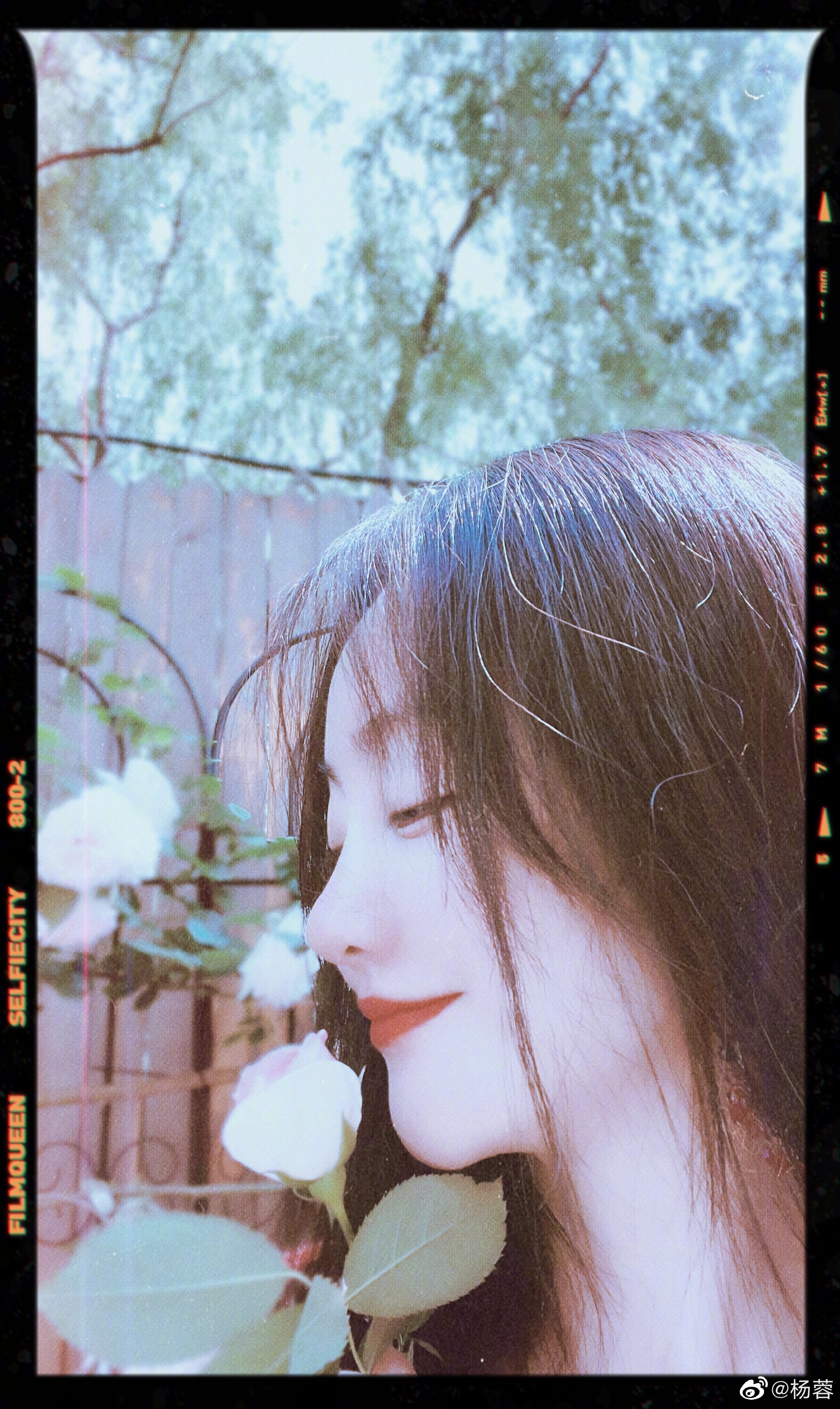 是女明星也是“菜农”！柳岩吃过刘亦菲种的茄子，张馨予家有农场