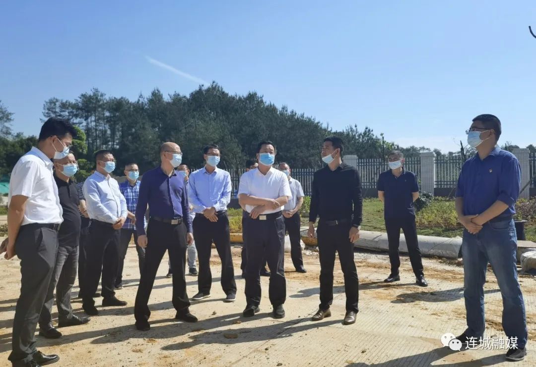 連城召開鄉村振興“環冠豸山”片區現場推進會