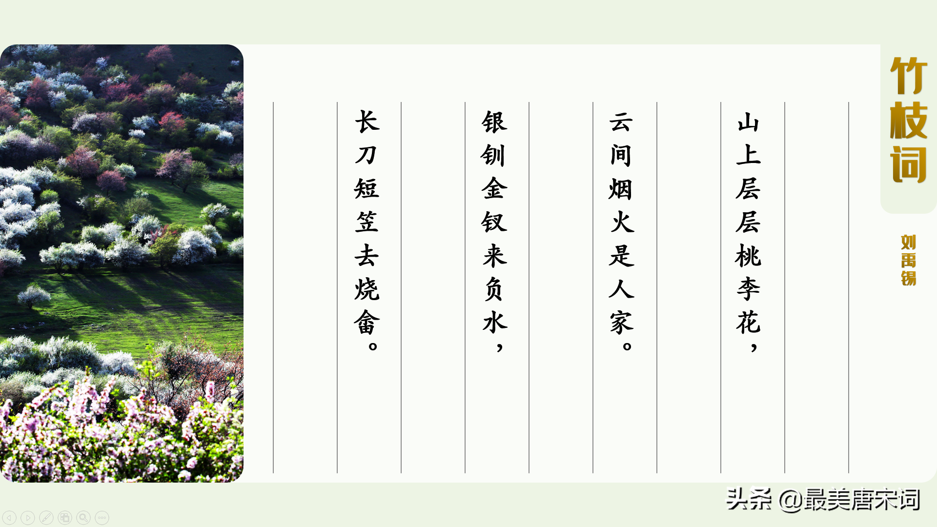 诗词里的春有百花 | 10首词感受10种花（唐五代部分，附深度解读）