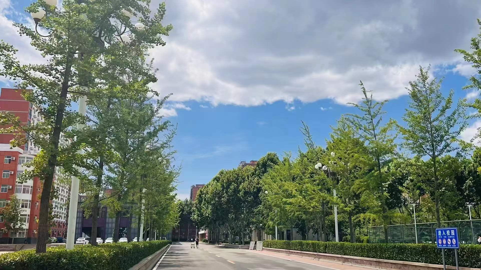和大家聊一聊，北大青鸟是公立学校还是私立？