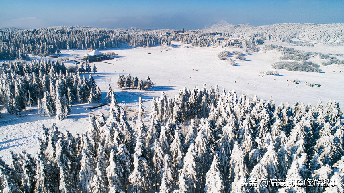 赏雪玩雪正当时！西南滑雪胜地武隆仙女山滑雪场开放啦