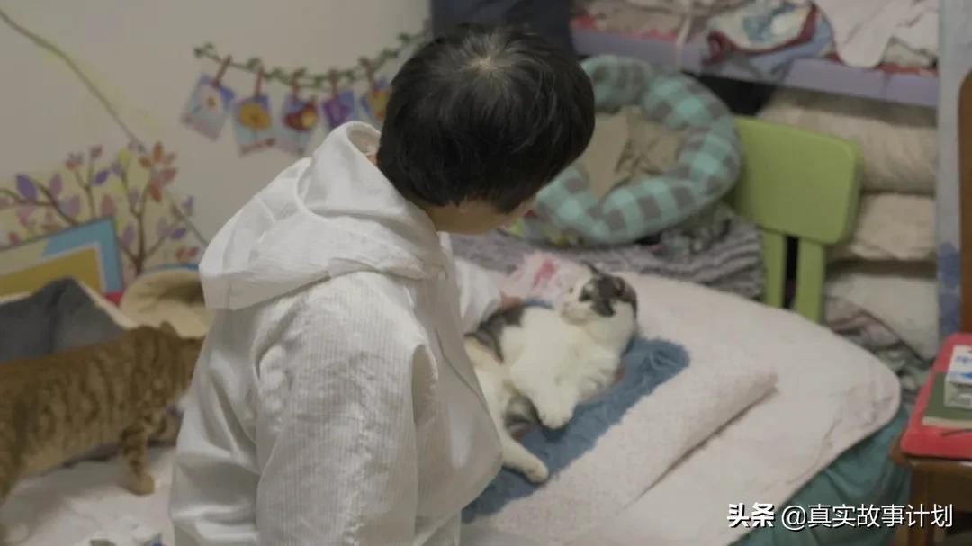 为了救助流浪猫,她在北京租房9年:弃养的背后,救助者做了什么