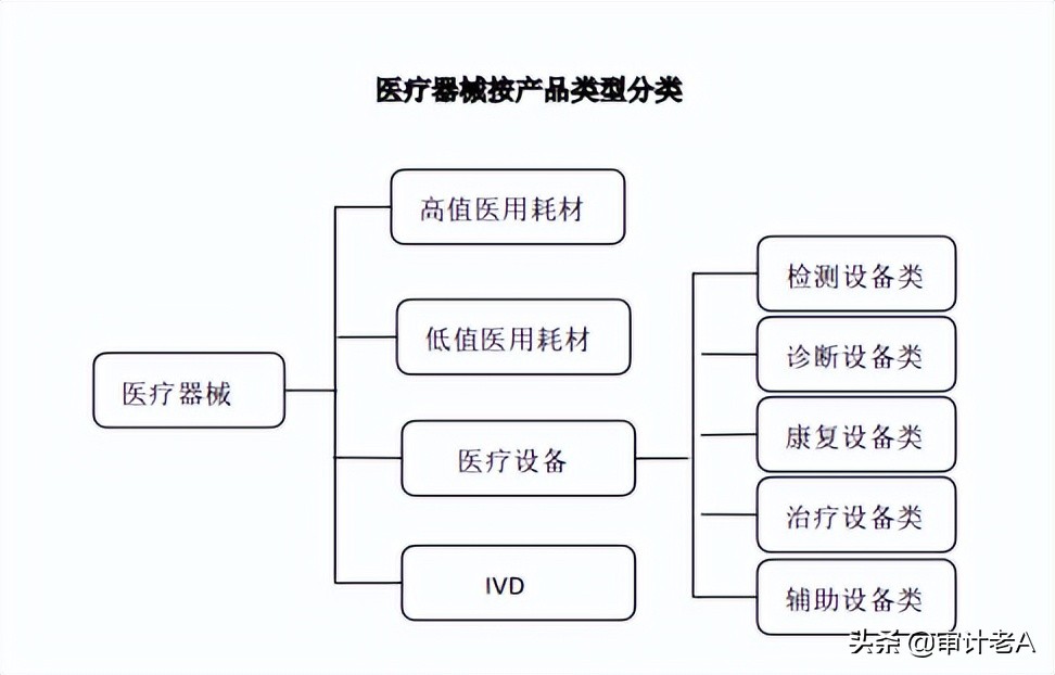 会计核算形式（医疗器械企业不同商业模式下的收入确认及上市审核关注要点）