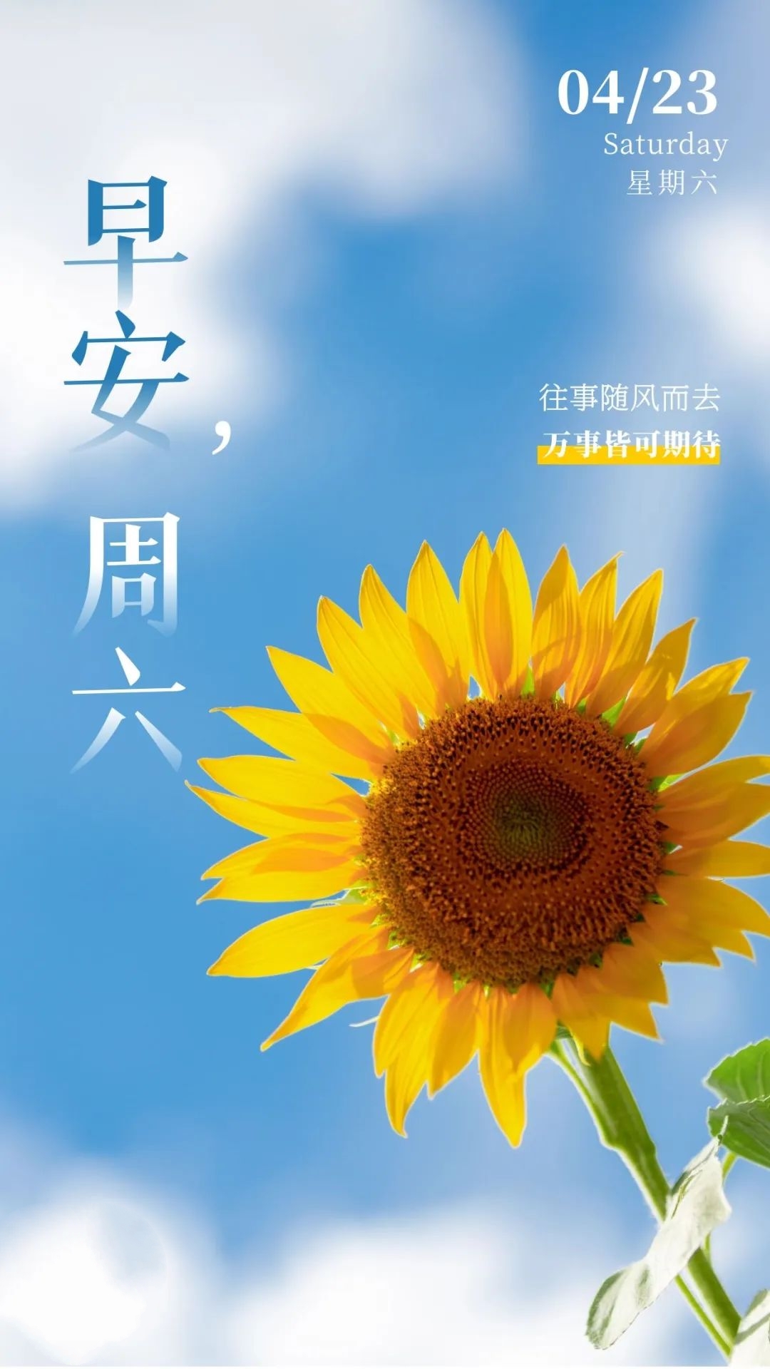 「2022.04.23」早安心语，世界读书日努力奋斗句子 早上好问候图片