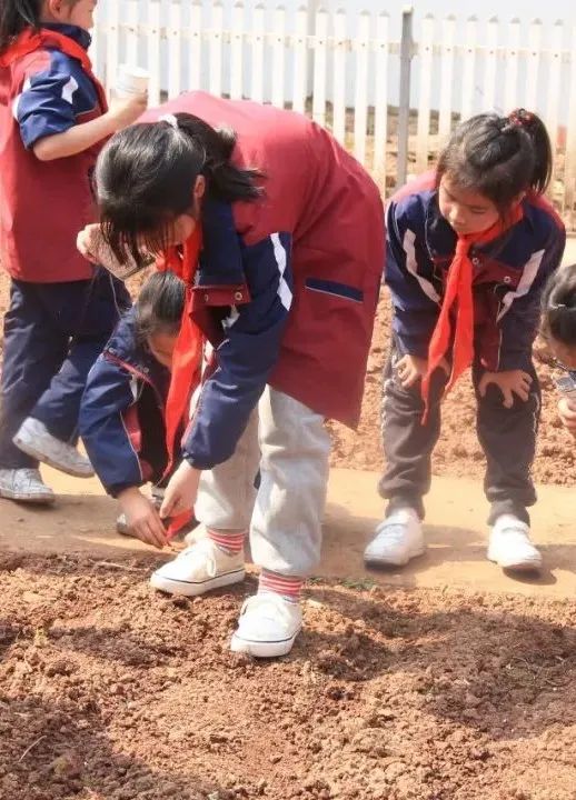 天府新区三星小学特色劳动课堂