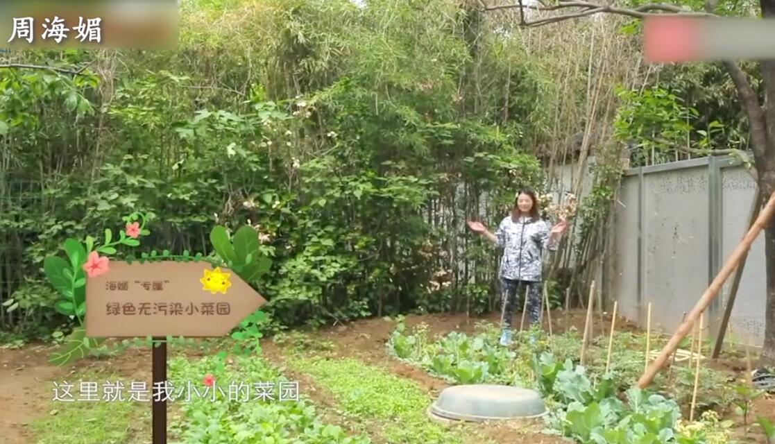 是女明星也是“菜农”！柳岩吃过刘亦菲种的茄子，张馨予家有农场