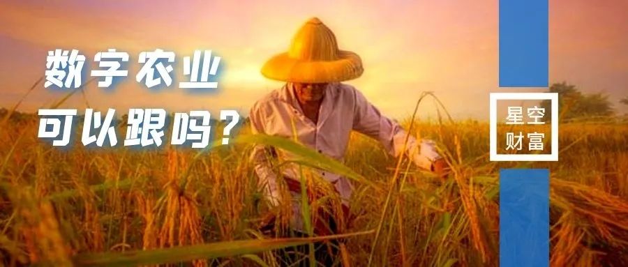 蹭热点蹭上数字农业，集体涨停后再集体暴跌，为啥？