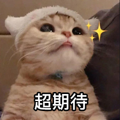 小米12来了！经过层层筛选！终于选出了适合小米12/12Pro的钢化膜