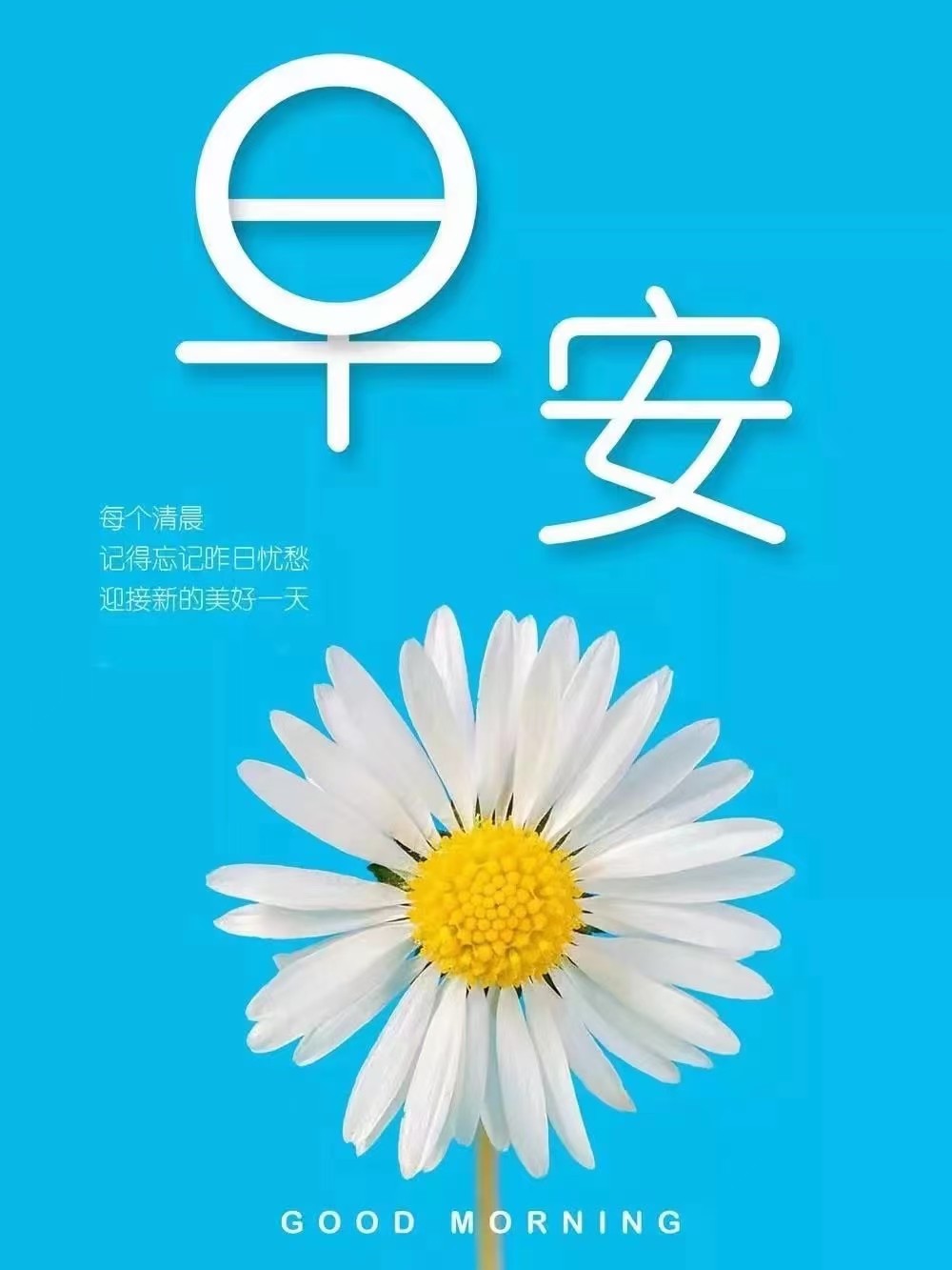 「早安語錄」迎風向前,努力是唯一的方向