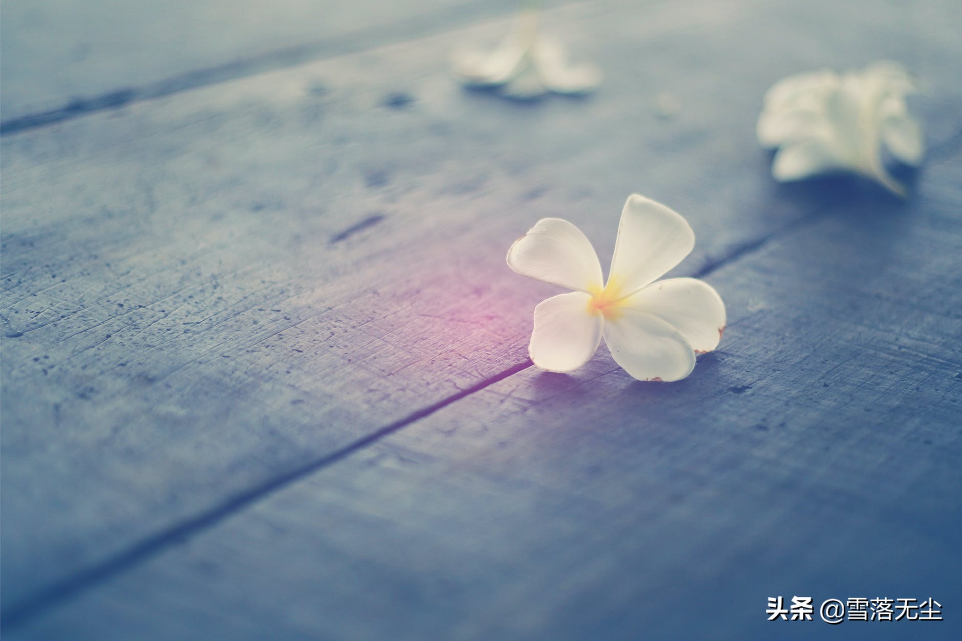 婚姻是一道门在线阅读（婚姻是一道门全文阅读）