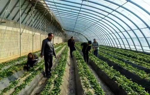 万象“耕”新，生生不息！