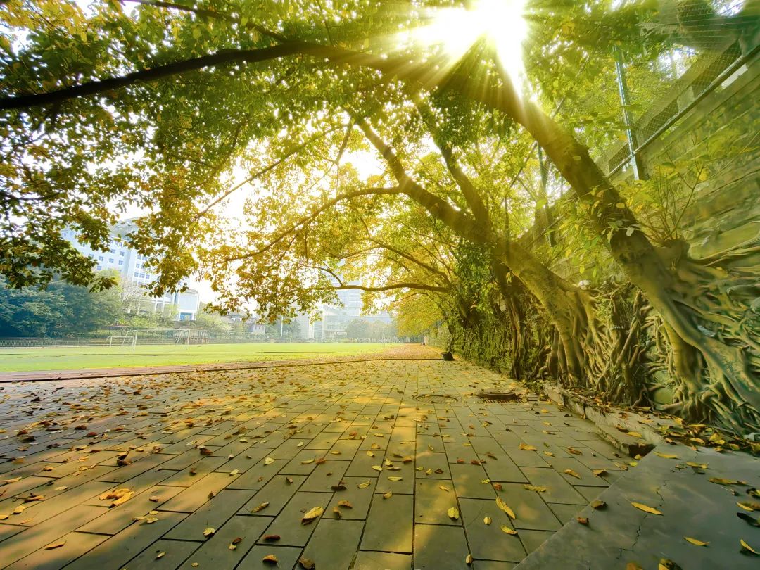 重大的春天，就是不一样