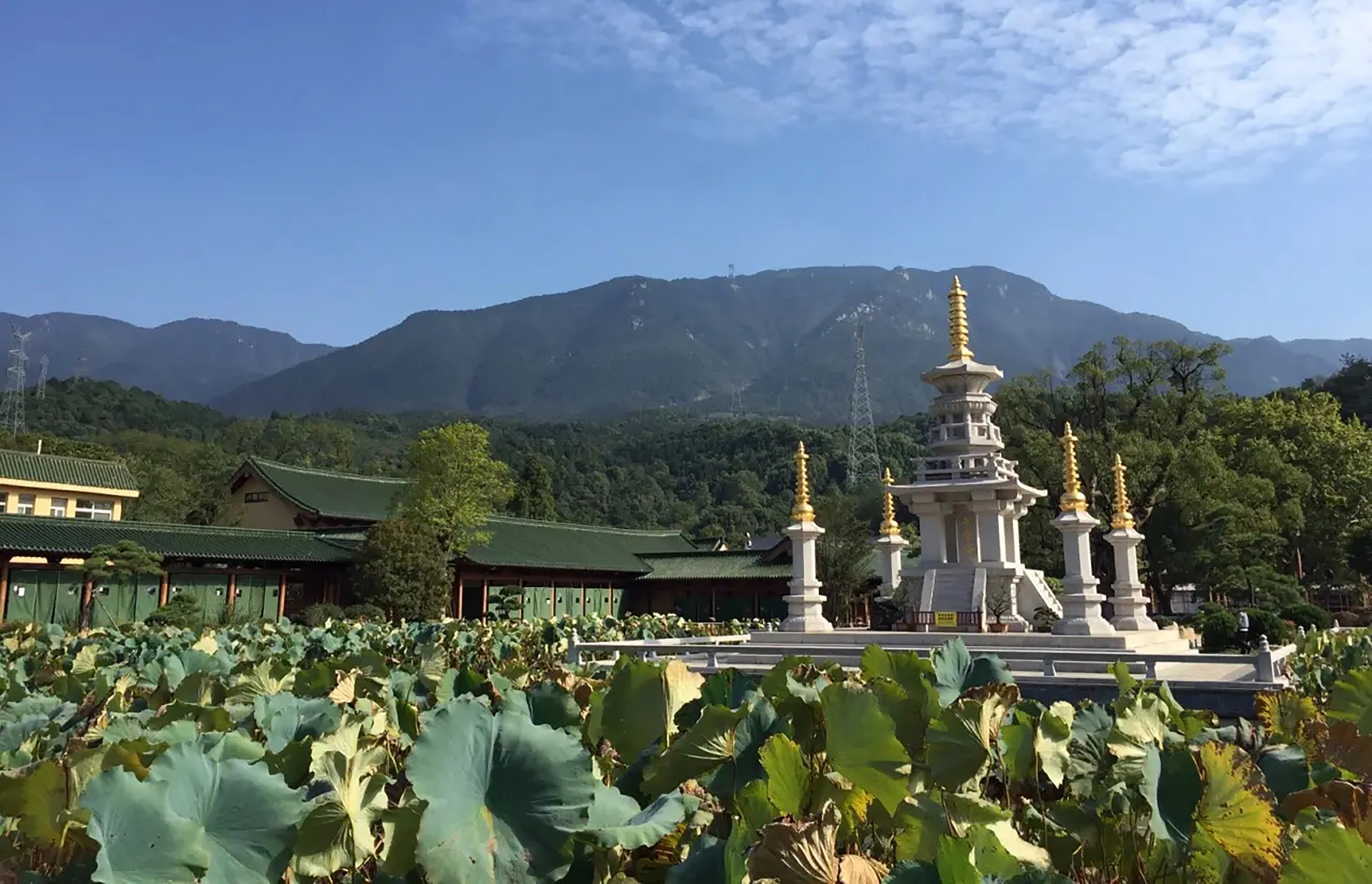 淨土宗和禪宗的區別(中國佛教有十派,一派為淨土宗,廬山東林寺是淨土