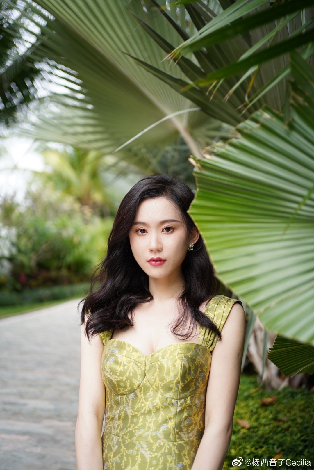 家乡孕育了我,让我的歌声充满灵气——专访青年歌唱家杨西音子