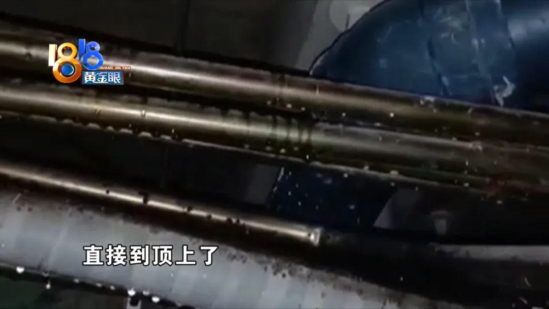 大堂顶部漏水，疏通马桶“闯了祸”？