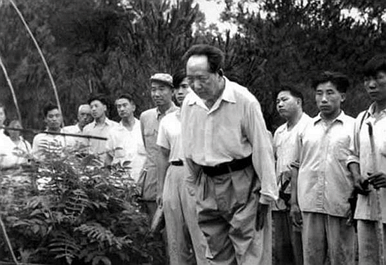 汤瑞仁在毛泽东故居前开饭店，外国记者发难：毛泽东在世你能开吗