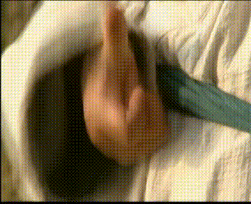 再看《乌龙闯情关》，童年里的欢乐和遗憾都在这里