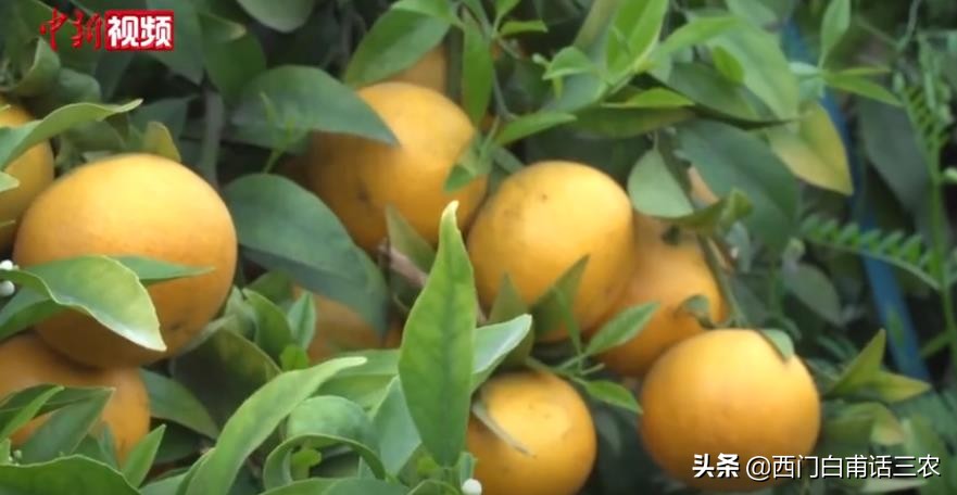 硕士回乡当农民经营两个家庭农场，年收入200万，传递什么信息？