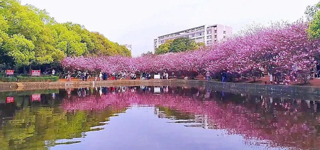 湖南科技大学：本科毕业生平均月薪超6000元，有哪些专业不错？