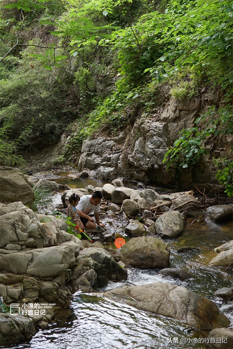 这条秦岭沟谷，一进山就能看到美景，老人、孩子来玩也合适