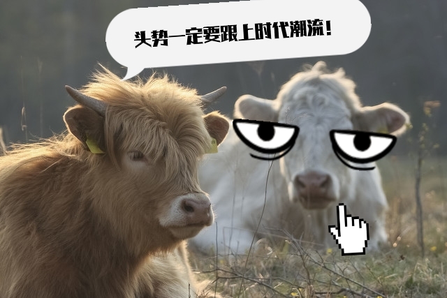 憨厚朴实的老黄牛,有时候也太搞笑啦,这10张图片让我笑啦