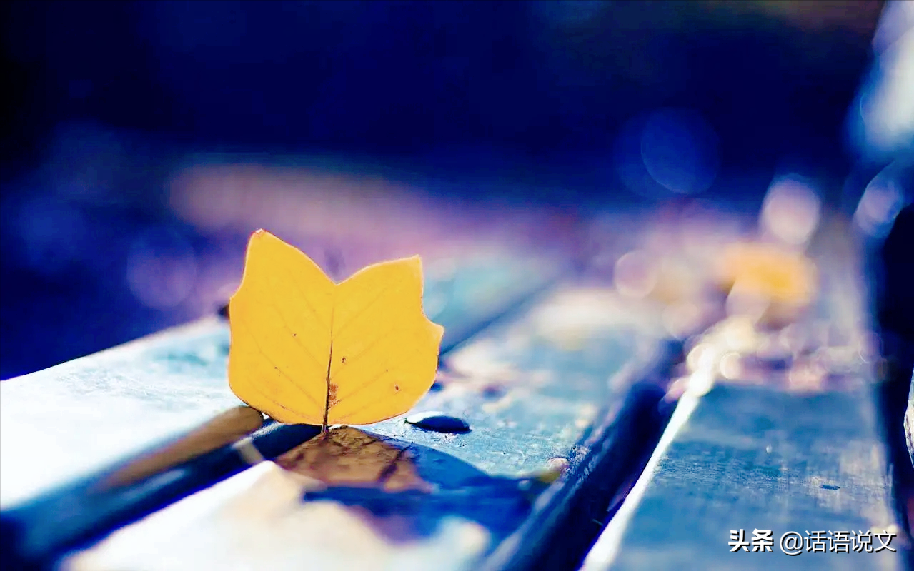 2022年高考作文预测︱思辨“应该打造怎样的人生”（含满分作文及写作技巧）