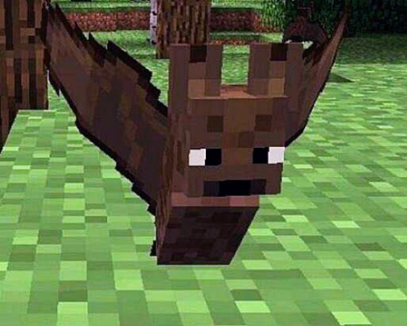你认为Minecraft中最没用的东西是什么？玩家：从一只蝙蝠说起
