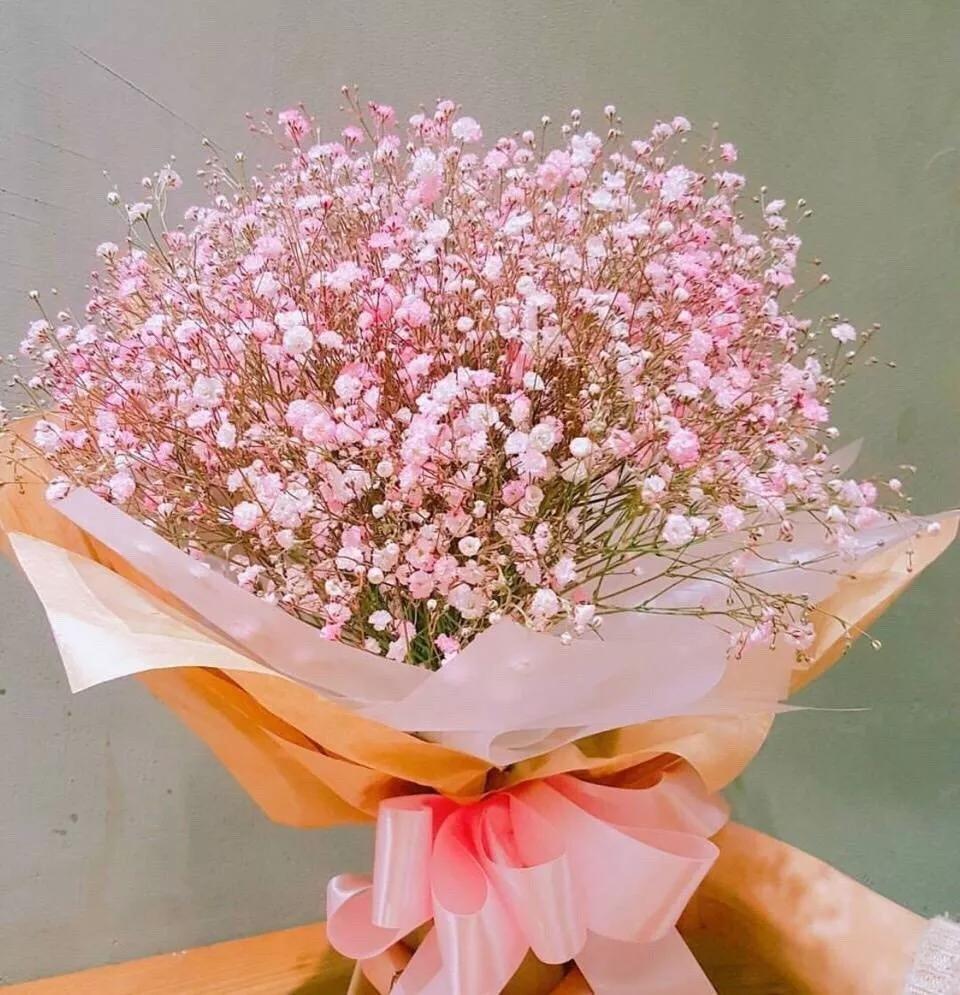 满天星花语,寓意