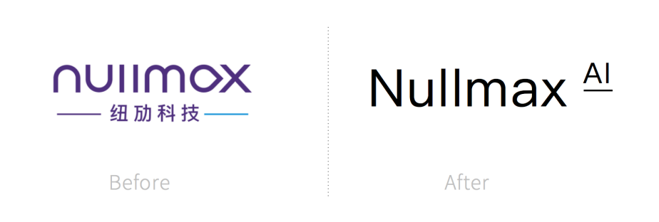 智变未来——Nullmax品牌全案策划设计