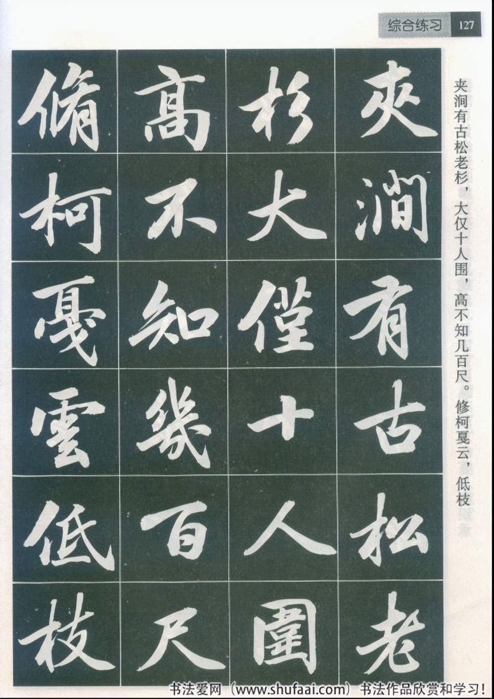 田英章毛笔行书笔法标准教程（综合练习篇）珍藏版，学习收藏