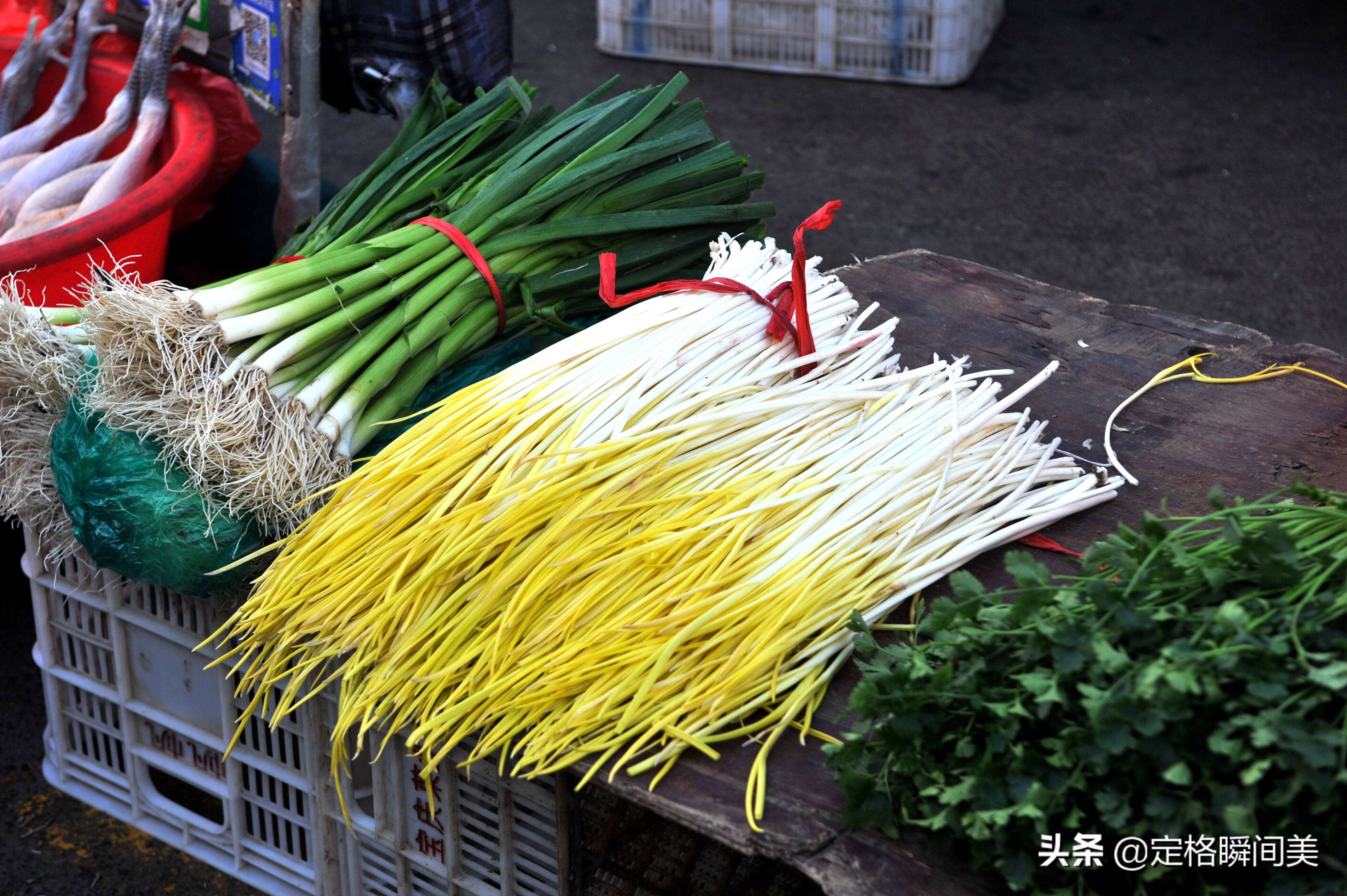 鯧魚多少錢一斤,鯧魚多少錢一斤市場價2022