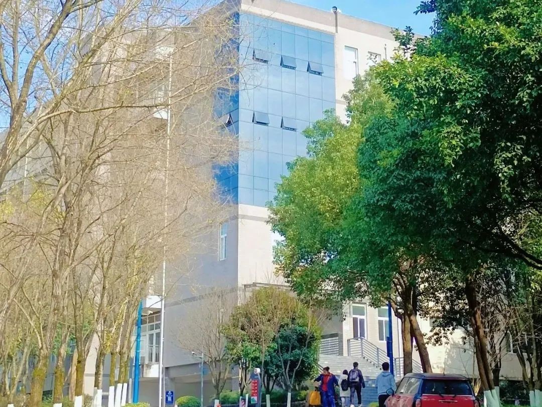 一次拿下“2个”学位！西南政法大学这8个项目今年招生，报考必看！