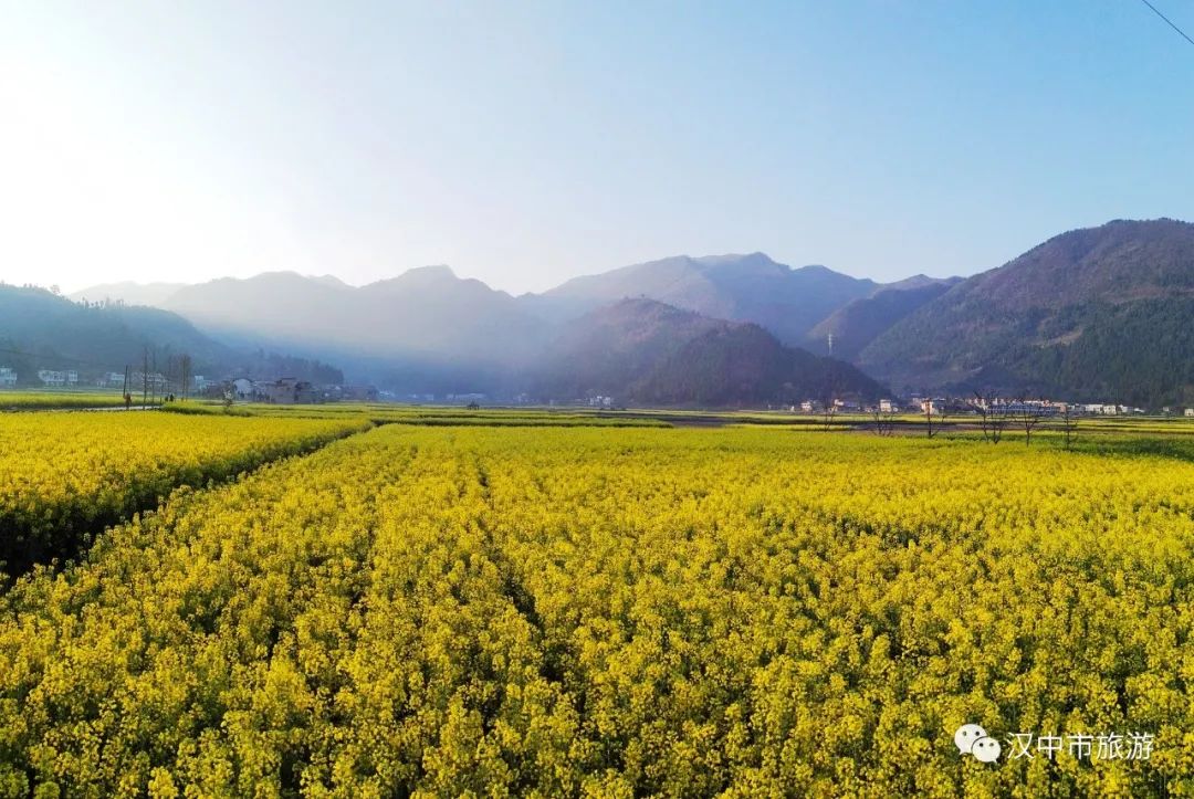 重磅！2022中國(guó)最美油菜花海漢中旅游文化節(jié)最全優(yōu)惠政策來啦！