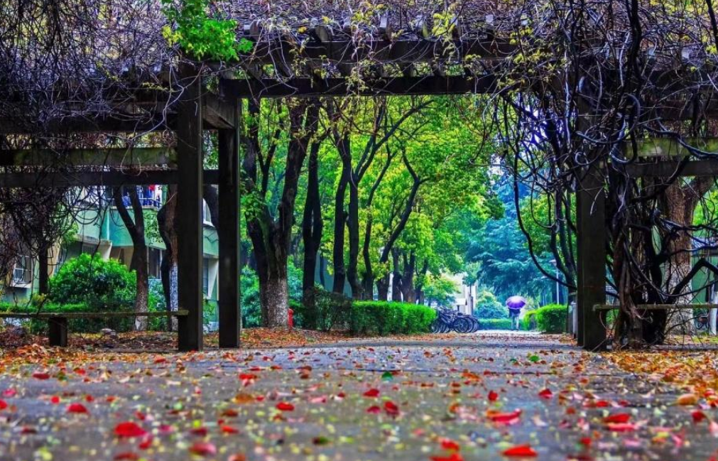 浙江最好的10所大学，第一所学霸都考不上，考生了解下